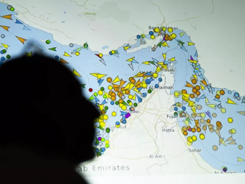 Strait of Hormuz on a ship-tracking website