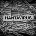 Hantavirus newspaper