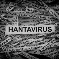 Hantavirus newspaper
