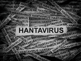 Hantavirus newspaper