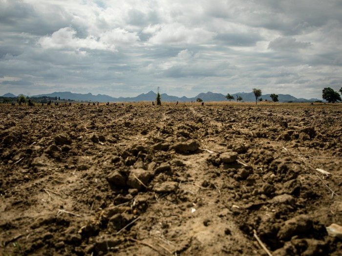 Sudan agriculture