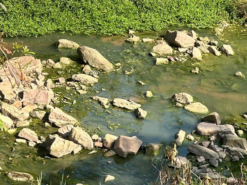 Summons issued to New Germany company for spilling untreated effluent