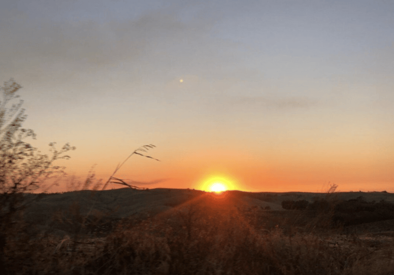 Sunset over farm