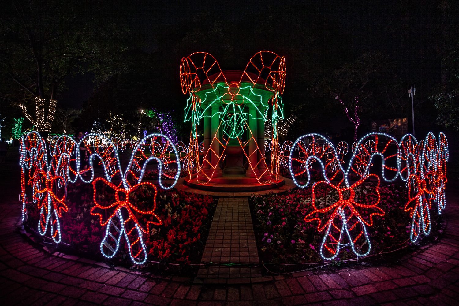 Trail of lights 2025 canes