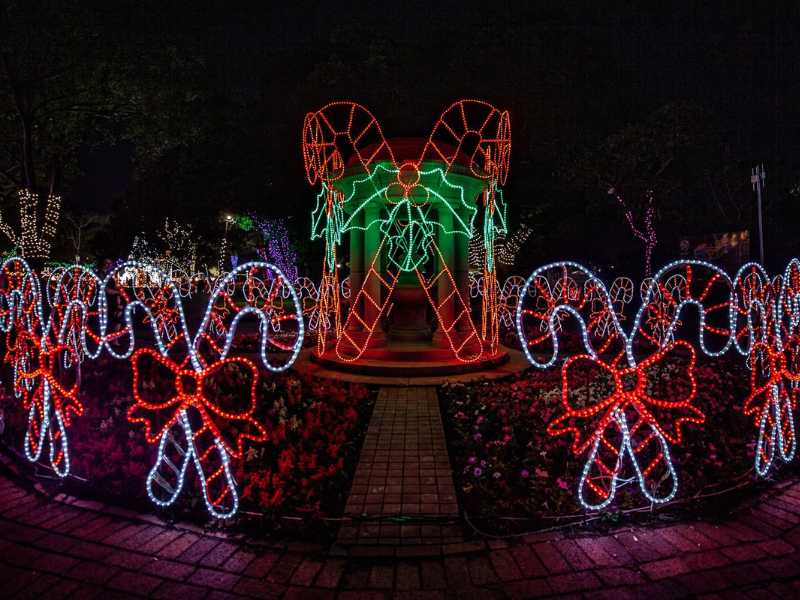 Trail of lights canes