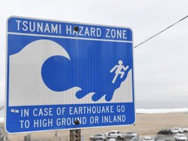 Tsunami warning board