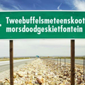 TWEEBUFFELSMETEENSKOOTMORSDOODGESKIETFONTEIN