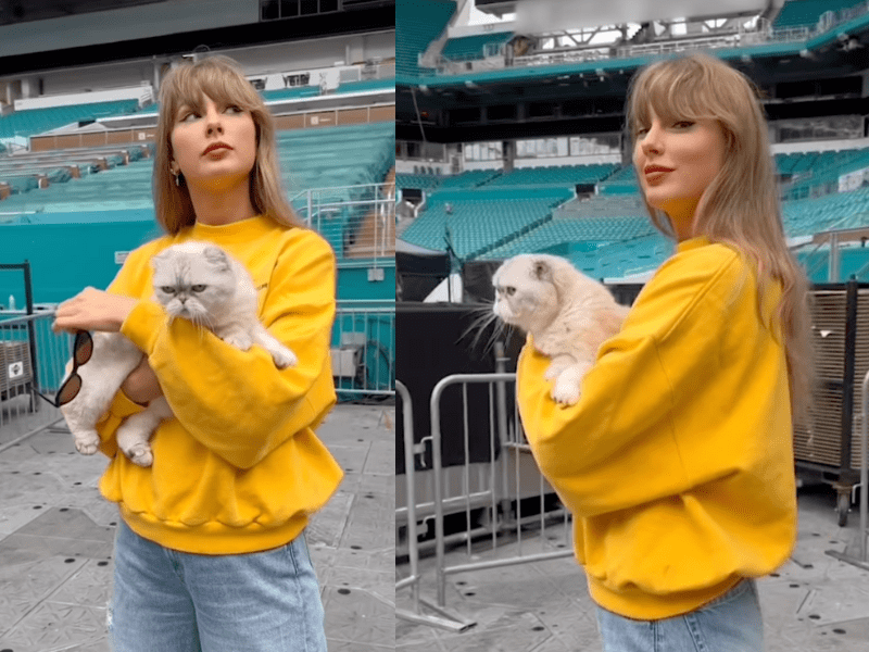 Taylor Swift holding a cat