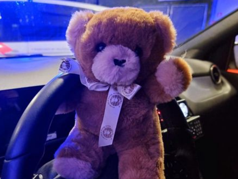 Teddy bear on car steering wheel