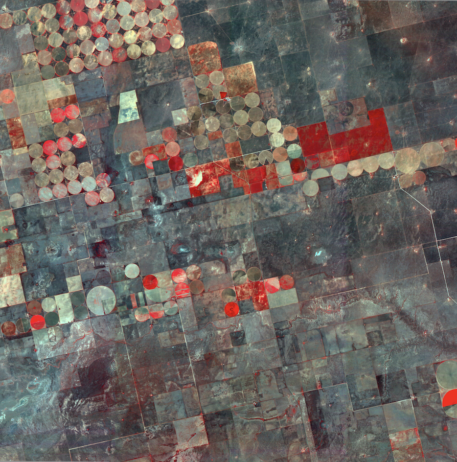 Texas Aerial Dragonfly Aerospace
