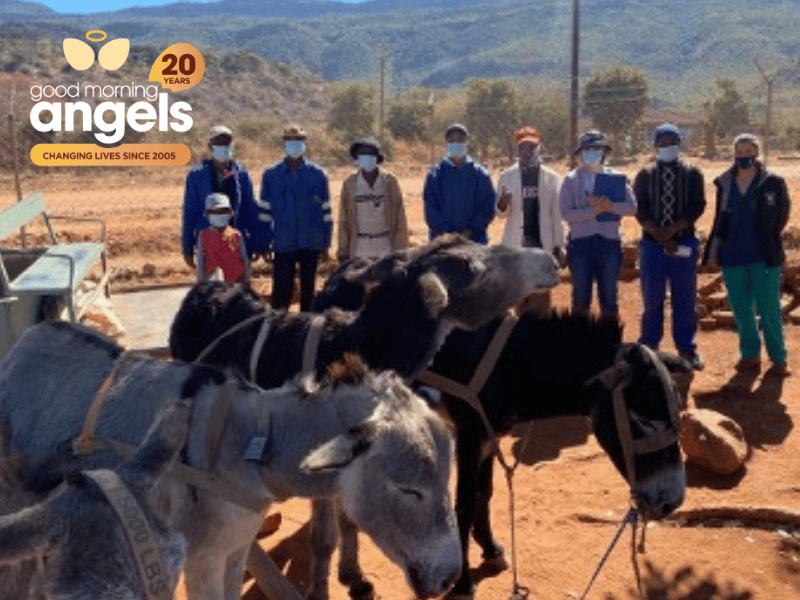 The Bahanawa Donkey Care workers Changing the lives of local villagers GMA THE LEGACY