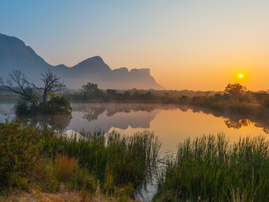 A game reserve in South Africa