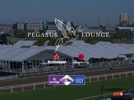 The Pegasus Lounge-70