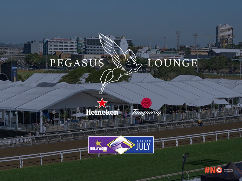 The Pegasus Lounge-70