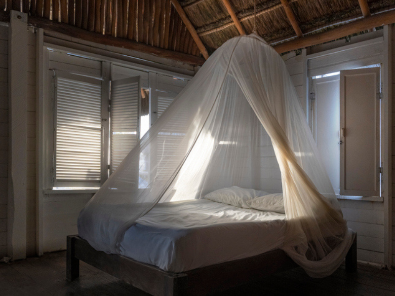 The interior of a cabin showing a bed with a mosquito net