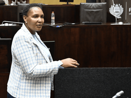 Human Settlements Minister Thembi Simelane