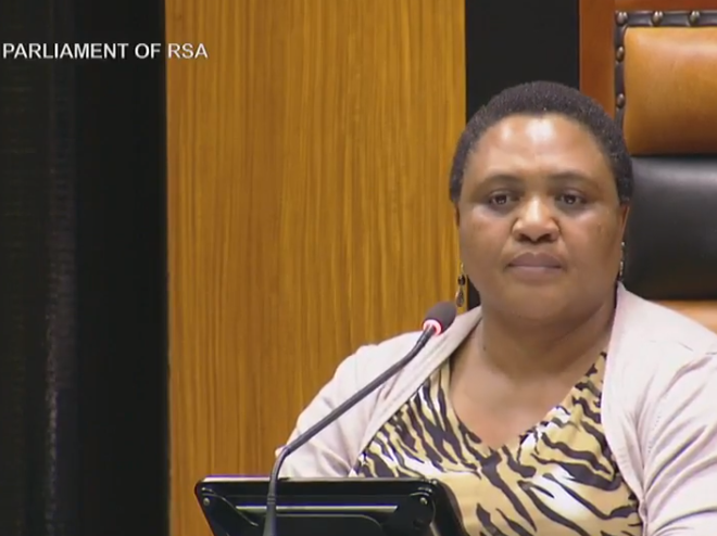 Thoko Didiza