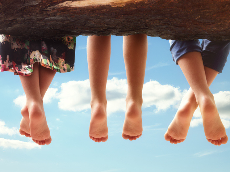 Three children sitting on a tree branch tangling their feet