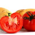 Tomatoes and Potatoes
