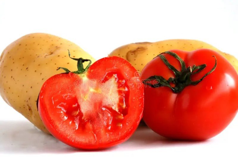 Tomatoes and Potatoes