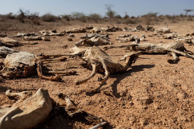 Drought in Kenya