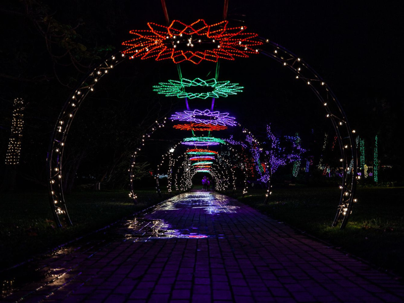 Trail of lights 2025 entrance