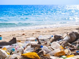 Trash and plastic bags at the beach