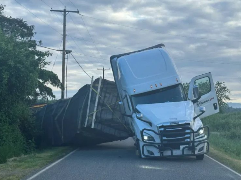Bees truck