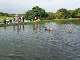 Daveyton school swimming incident