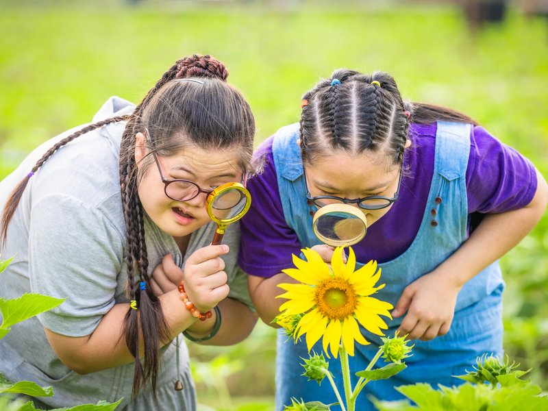 Two female young friends with down syndrome exploring sunflower iStock