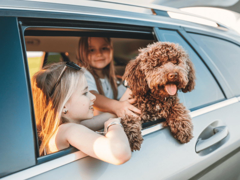 Two girls playing with maltipoo dog