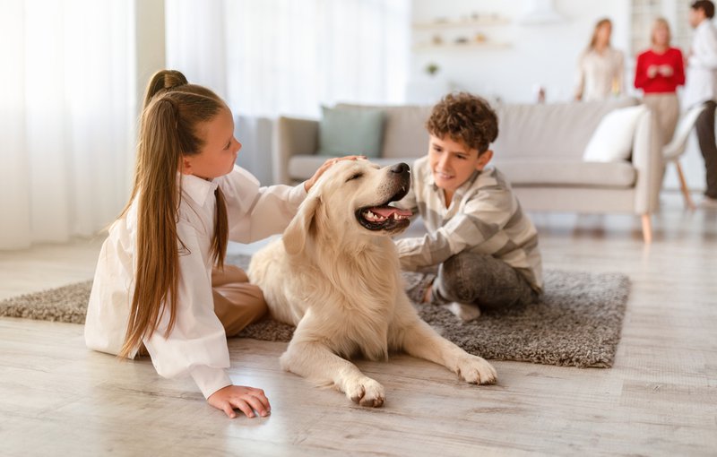 Two kids sitting on floor petting golden retriever dog