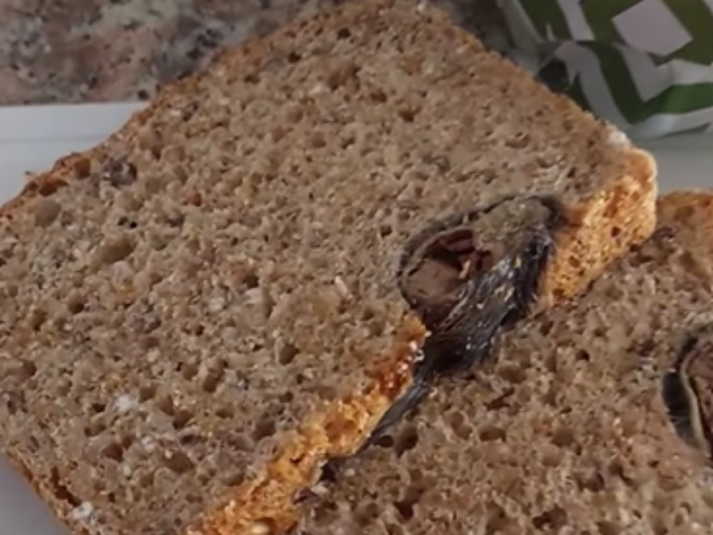 Two slices of brown bread with a rodent baked into the slice