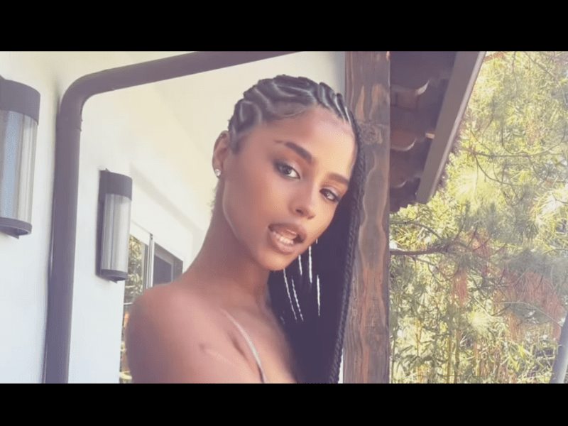 Tyla's hair styled in feed in side braids