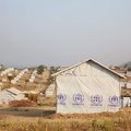 UNHCR refugee hut