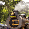 Umgeni Steam Railway