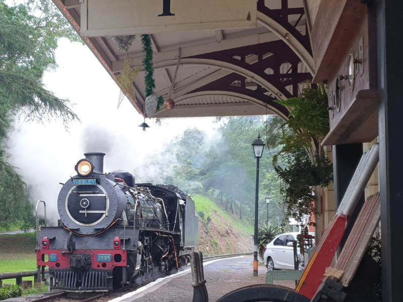 Umgeni Steam train