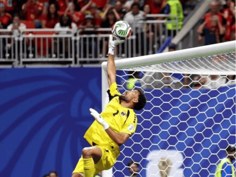 VOZHINA DEFENCE AGAINST SPAIN