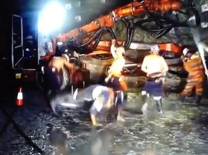 WA Miners.jpg