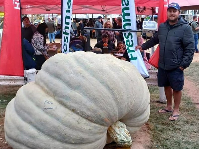 WC farmer breaks record for biggest pumpkin