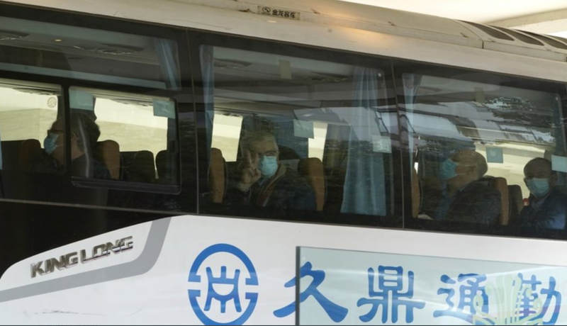 WHO team in China