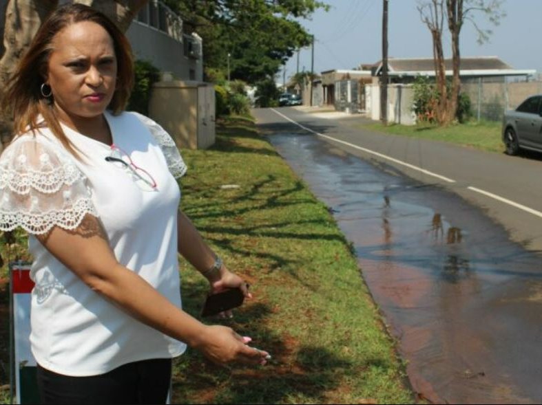 Ward councillor Shontel de Boer said she is concerned by the thefts mainly affecting Umgeni Park.