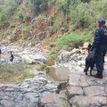 A vehicle with eight occupants was swept off the low-lying Infenebude Bridge.
