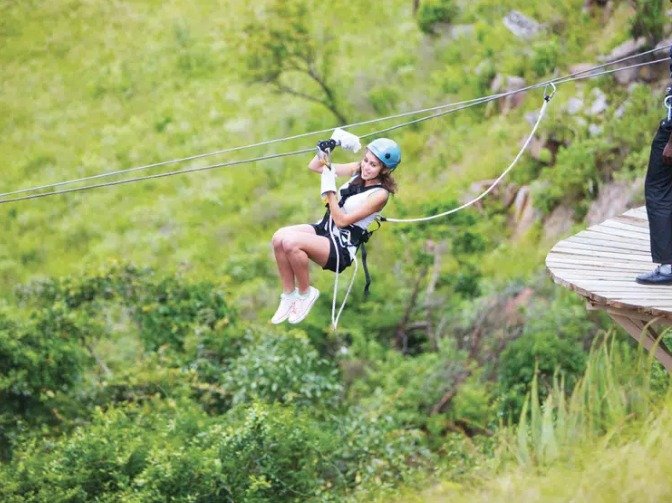 Canopy tours