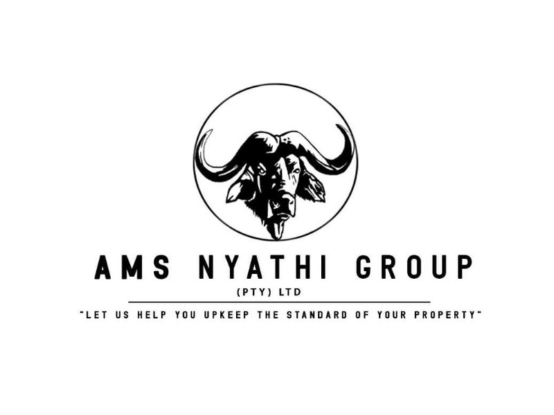 AMS Nyathi Group