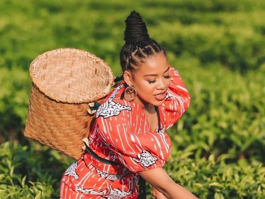 Shomadjozi