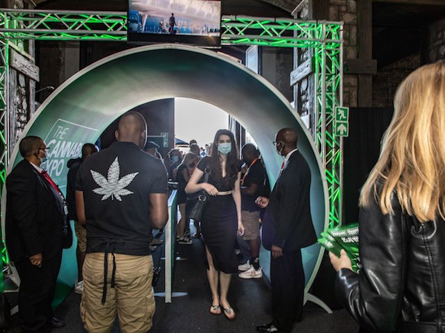 Cannabis in KZN! Here's what's coming in hot this week...