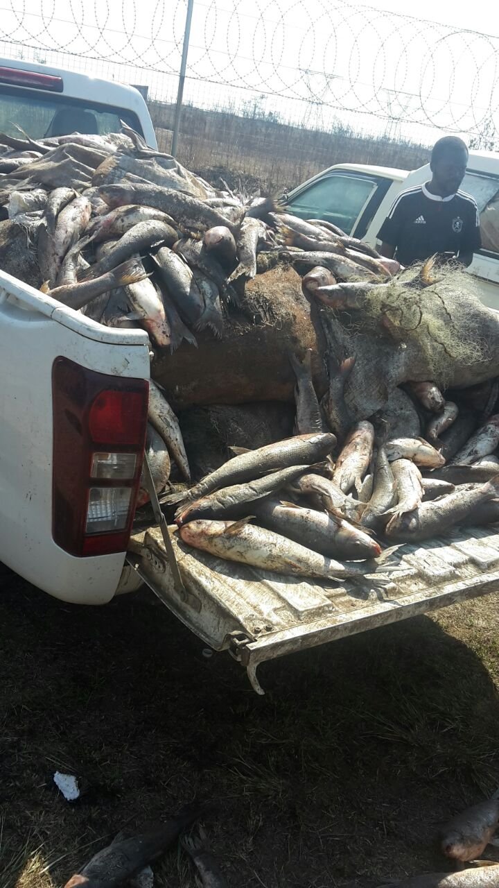 Ten suspects arrested for illegal fishing 3_supplied