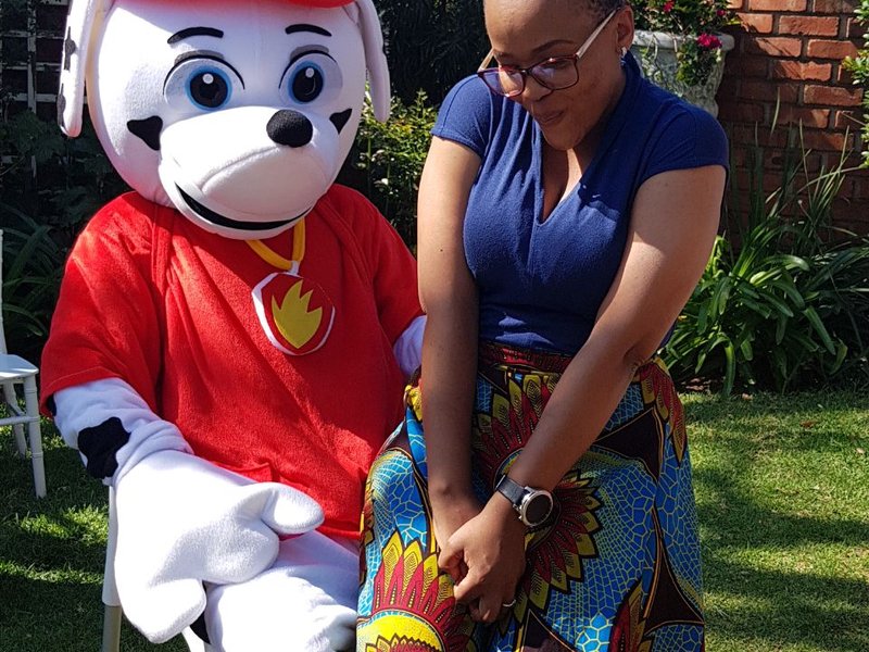 image tumi with paw patrol