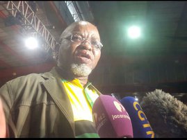 Gwede Mantashe